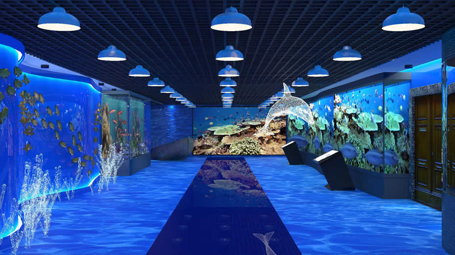 数字互动多媒体淡水鱼展馆